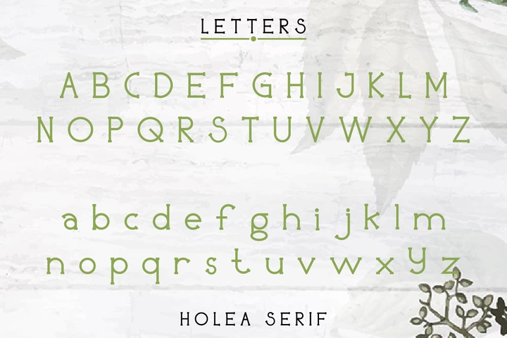 Beispiel einer Holea Regular-Schriftart